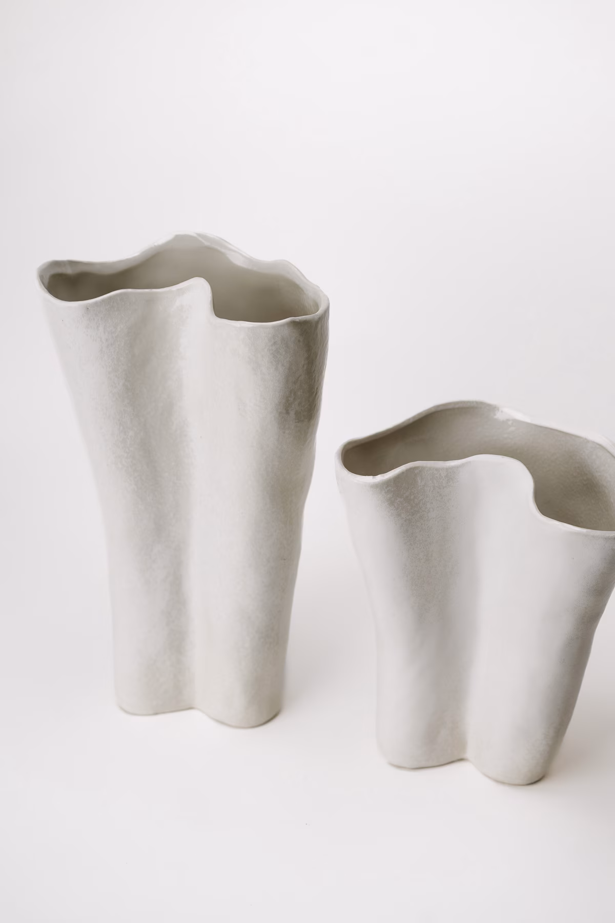 Bone L – Image 3